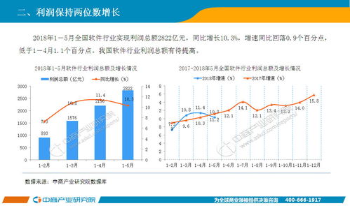 2018年1-5月中國軟件行業(yè)經(jīng)濟運行情況月度報告——軟件服務